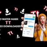 SnapTok: TT Video Downloader For PC Windows