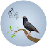 Starling Birdsong For PC Windows