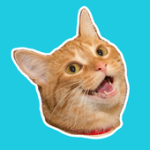 Stickr: Sticker Maker For PC Windows