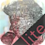 Synonymy Lite For PC Windows