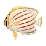 ThatQuiz For PC Windows