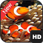 The Best Fish Wallpaper For PC Windows