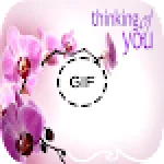 Thinking Of You Images Gif For PC Windows