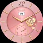 TicWatch Mutual affinity For PC Windows