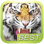 Tiger Roar Sound For PC Windows