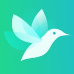Tiny VPN For PC Windows