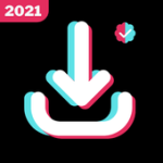 Video Downloader for TikTok - No Watermark 2021 For PC