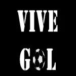 ViveGol For PC Windows