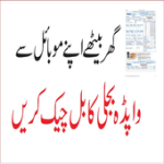 Wapda Bill Online Check For PC Windows