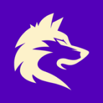 Wolf VPN For PC Windows