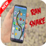 ran snake on screen hissin For PC Windows