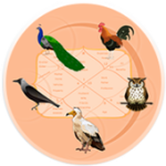 பஞ்ச பட்சி நல்ல நேரம் For PC Windows